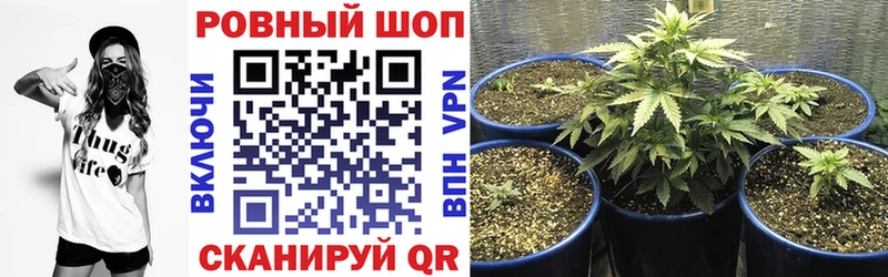Купить закладку Alpha-PVP  Меф  Cocaine  Метадон  МАРИХУАНА  Гашиш  АМФ  Королёв