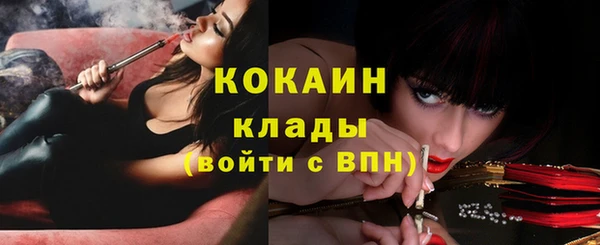 стаф Алексин