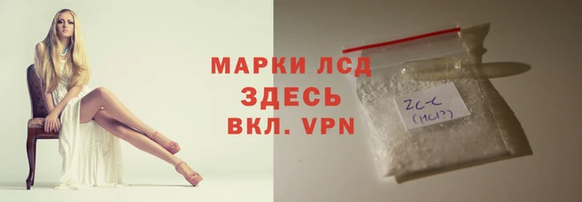стаф Алексин