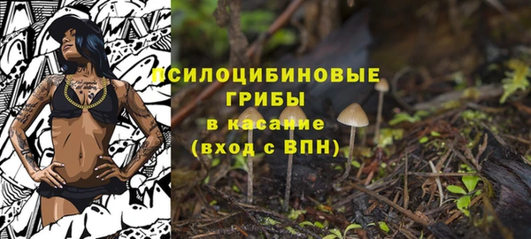 дмт Алзамай