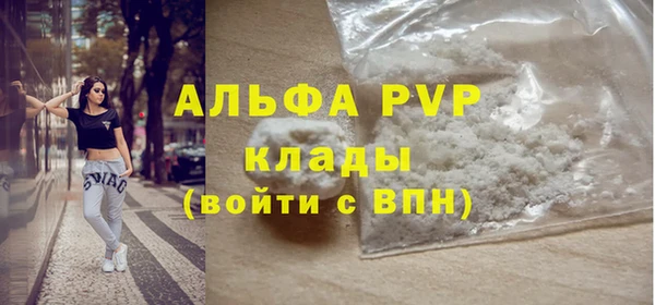 стаф Алексин