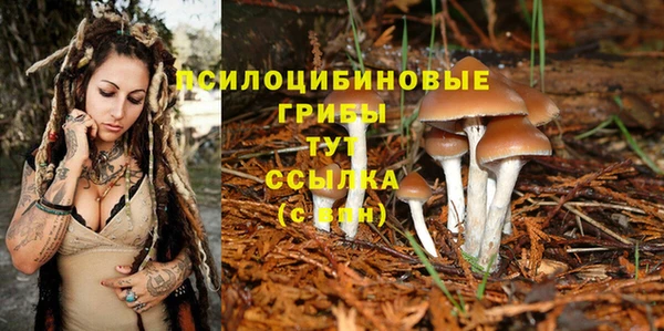 дмт Алзамай