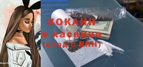 дмт Алзамай