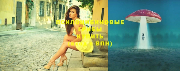 дмт Алзамай