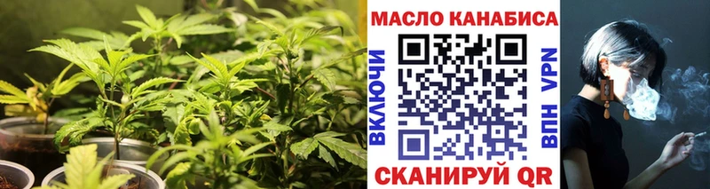 Купить где  Королёв  Дистиллят ТГК Wax 